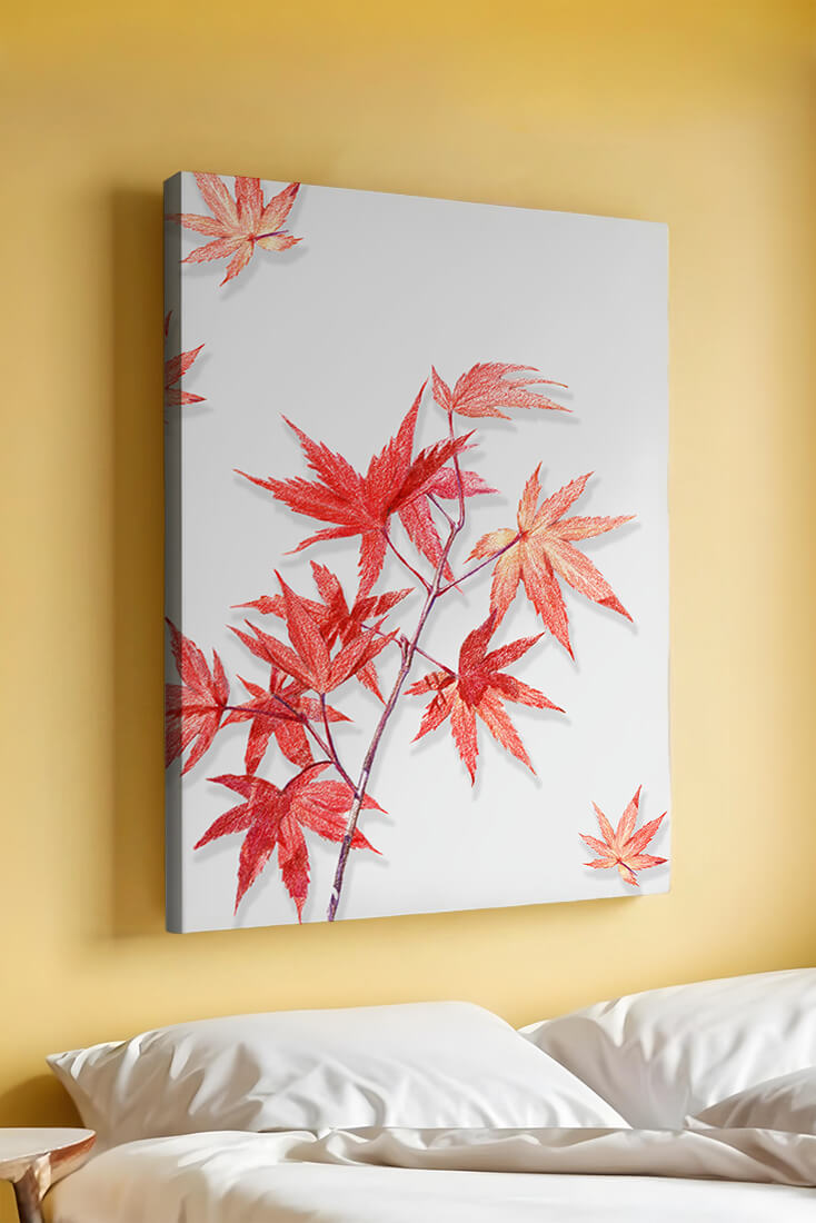 Delicate red maple leaves on white background