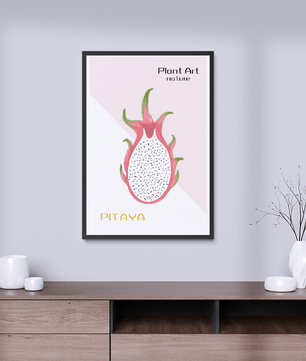 Dragon fruit illustration with modern minimalistic design and pastel background - Mi tienda