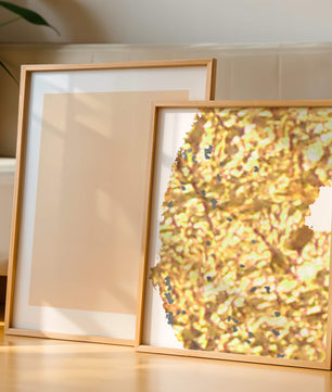 Abstract black and gold brushstrokes with textured patterns